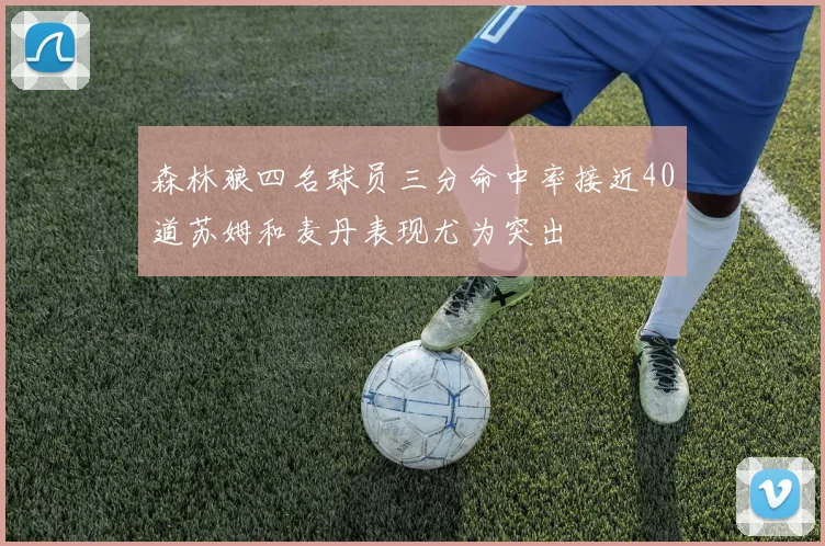 森林狼四名球员三分命中率接近40道苏姆和麦丹表现尤为突出